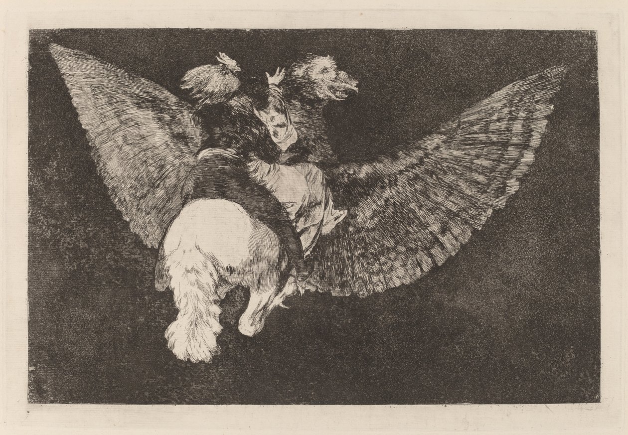 Nesourodé volante (Flying Folly) od Francisco de Goya