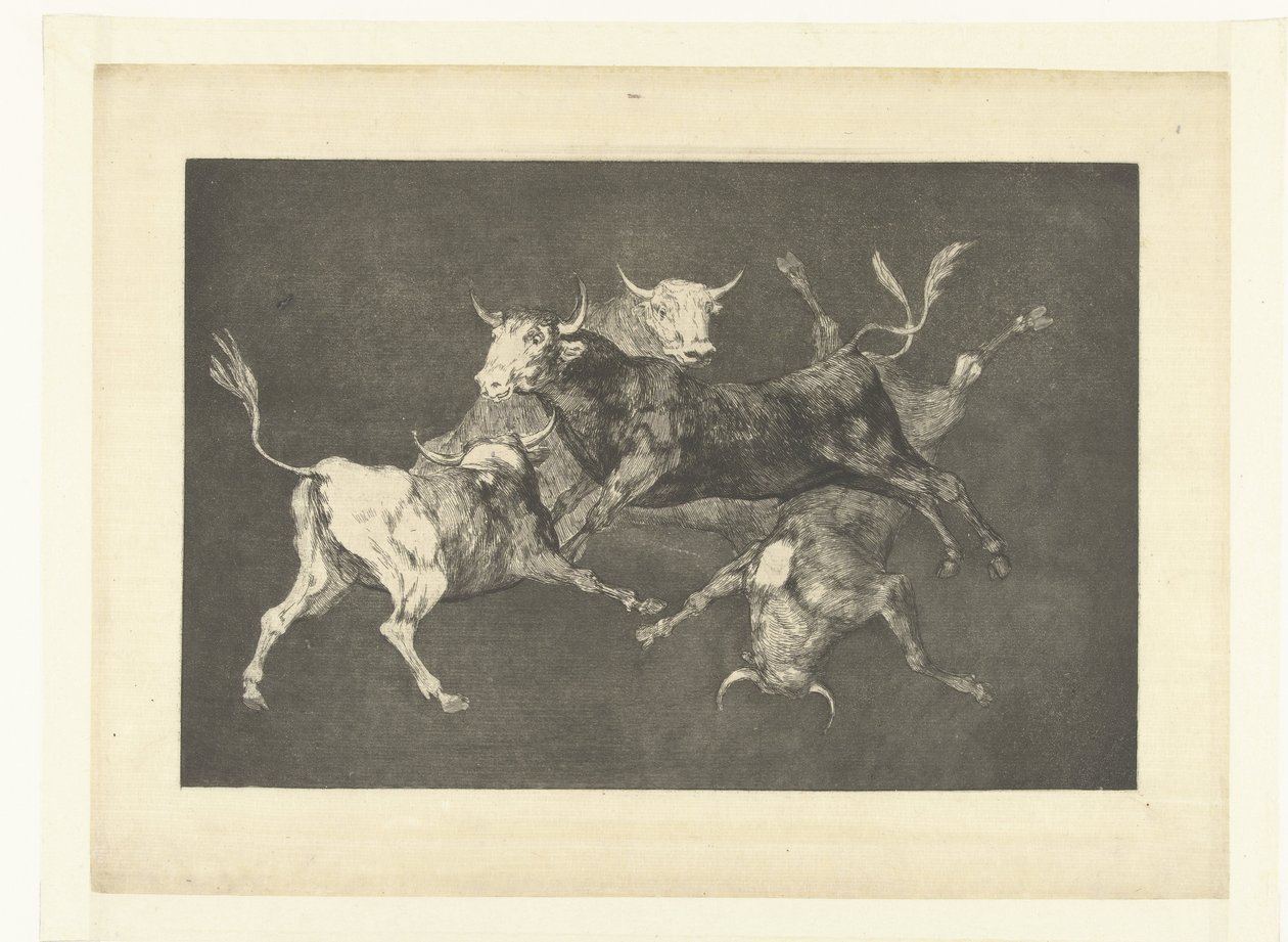 Bláznovství malých býků Nesourodé de tontos Los Disparates (The follies) (název série) Los Proverbios (The Proverbs) (název série) od Francisco de Goya