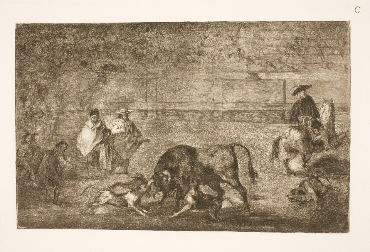 Psi jsou vyleštěni na býka od Francisco de Goya