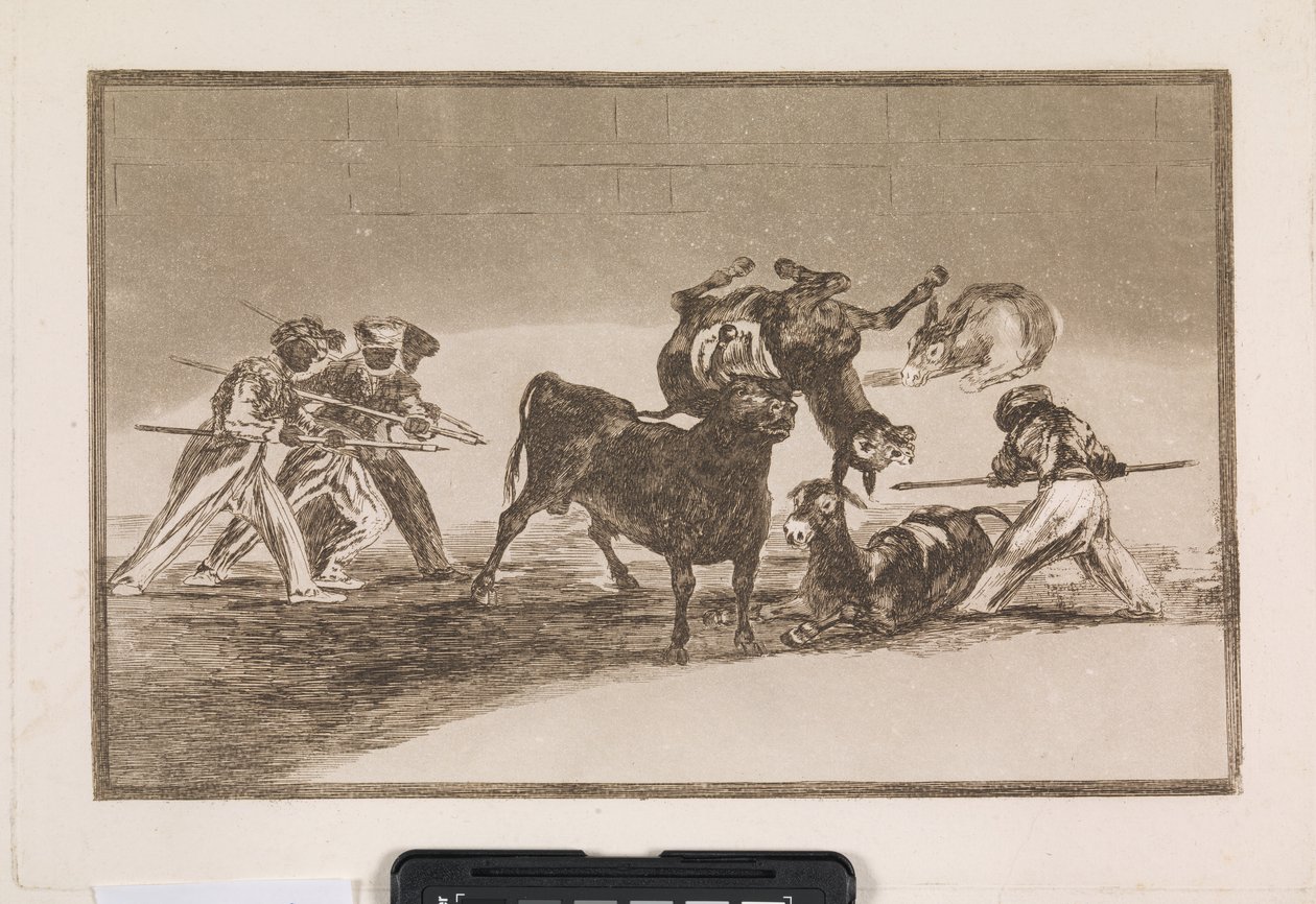 Maurové používají osly jako bariéru k obraně proti býkovi, jehož rohy byly opatřeny kulkami od Francisco de Goya