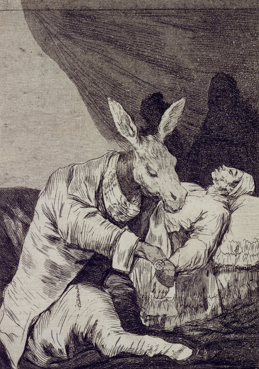 Na jakou nemoc zemře Capricho č. 40 od Francisco de Goya