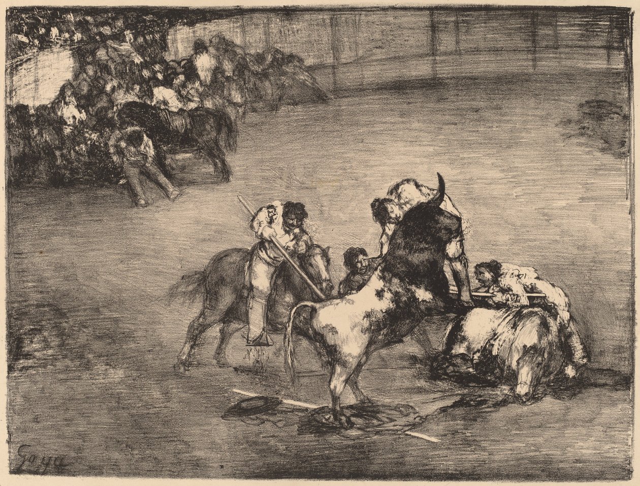 Picador chycen býkem od Francisco de Goya