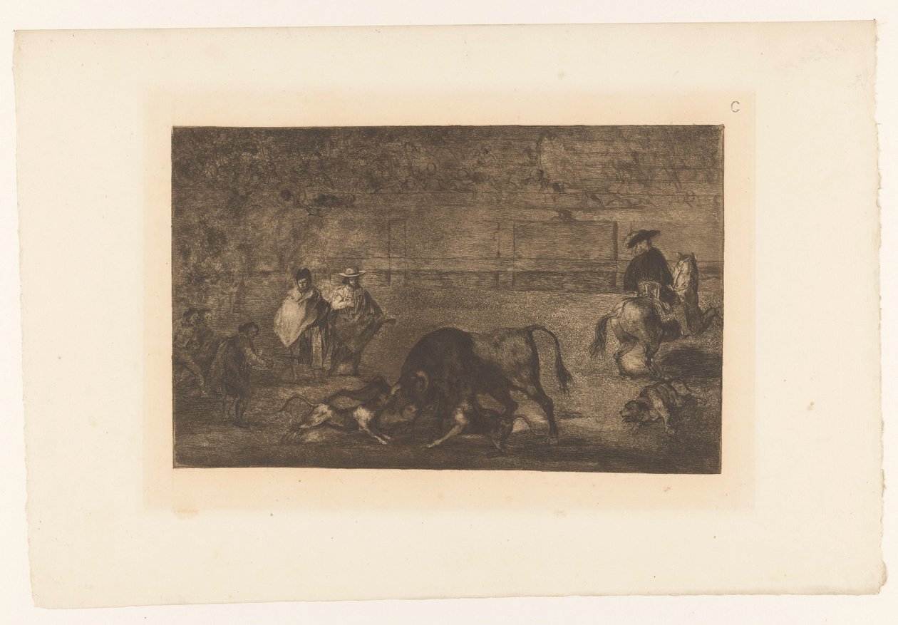 Býk napadený psy Les chiens lâchés sur le taureau Býčí zápasy (název série) La Taureaumachie (název série) La Tauromaquia (název série) od Francisco de Goya