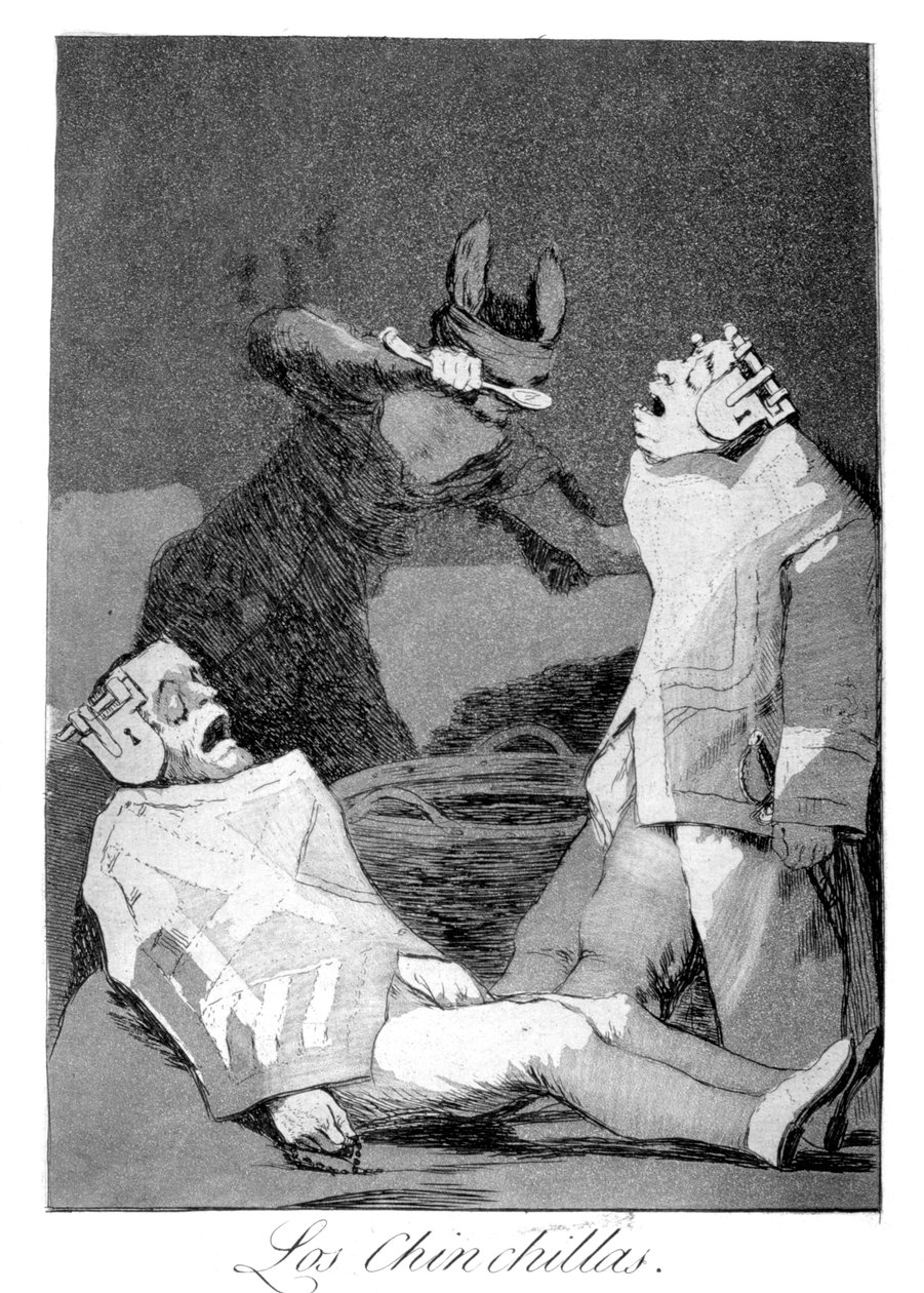Činčily, 1799 od Francisco de Goya