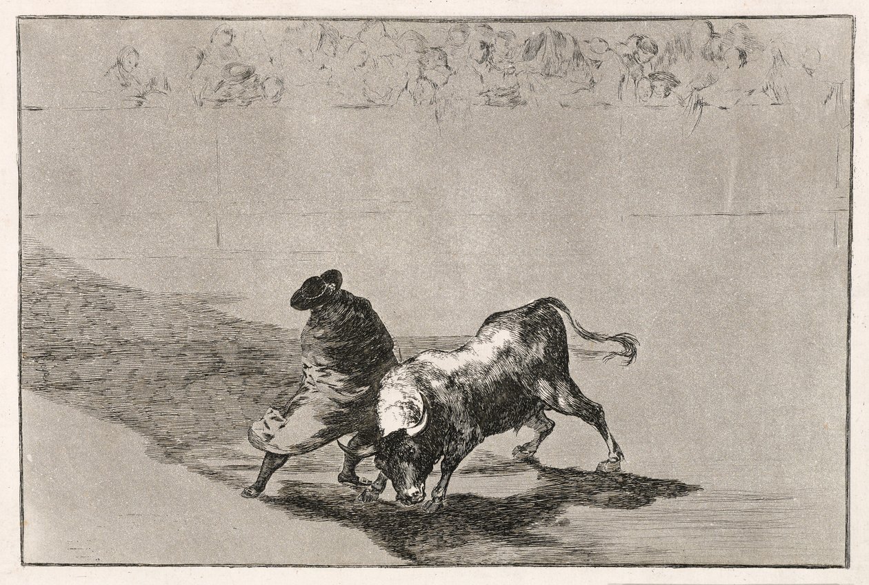 Chytrý student Falces rozzuří býka tím, že se pohybuje zabalený v jeho plášti, 1814-16 od Francisco de Goya