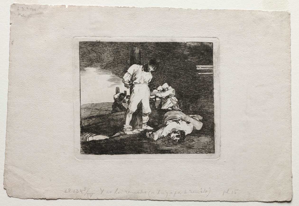The Disasters of War: And Theres No Help for it, 1810-1820. od Francisco de Goya