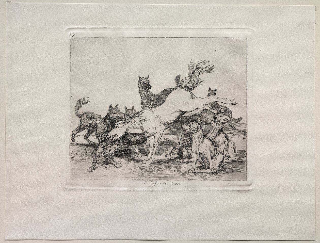 The Horrors of War: On se brání dobře od Francisco de Goya