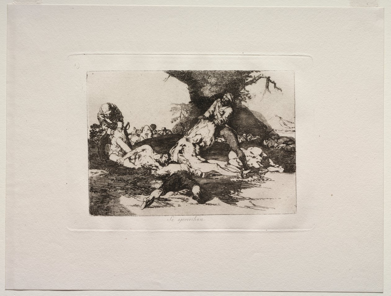 The Horrors of War: Oni je využívají od Francisco de Goya