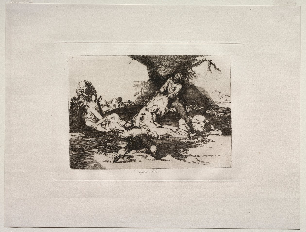 The Horrors of War: Oni je využívají. od Francisco de Goya