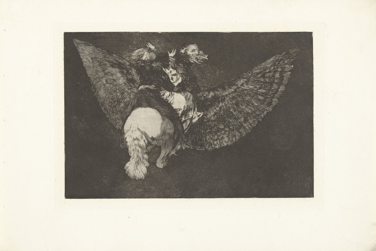 létající pošetilost Nesourodé volante Los Disparates (The follies) (název série) Los Proverbios (The Proverbs) (název série) od Francisco de Goya