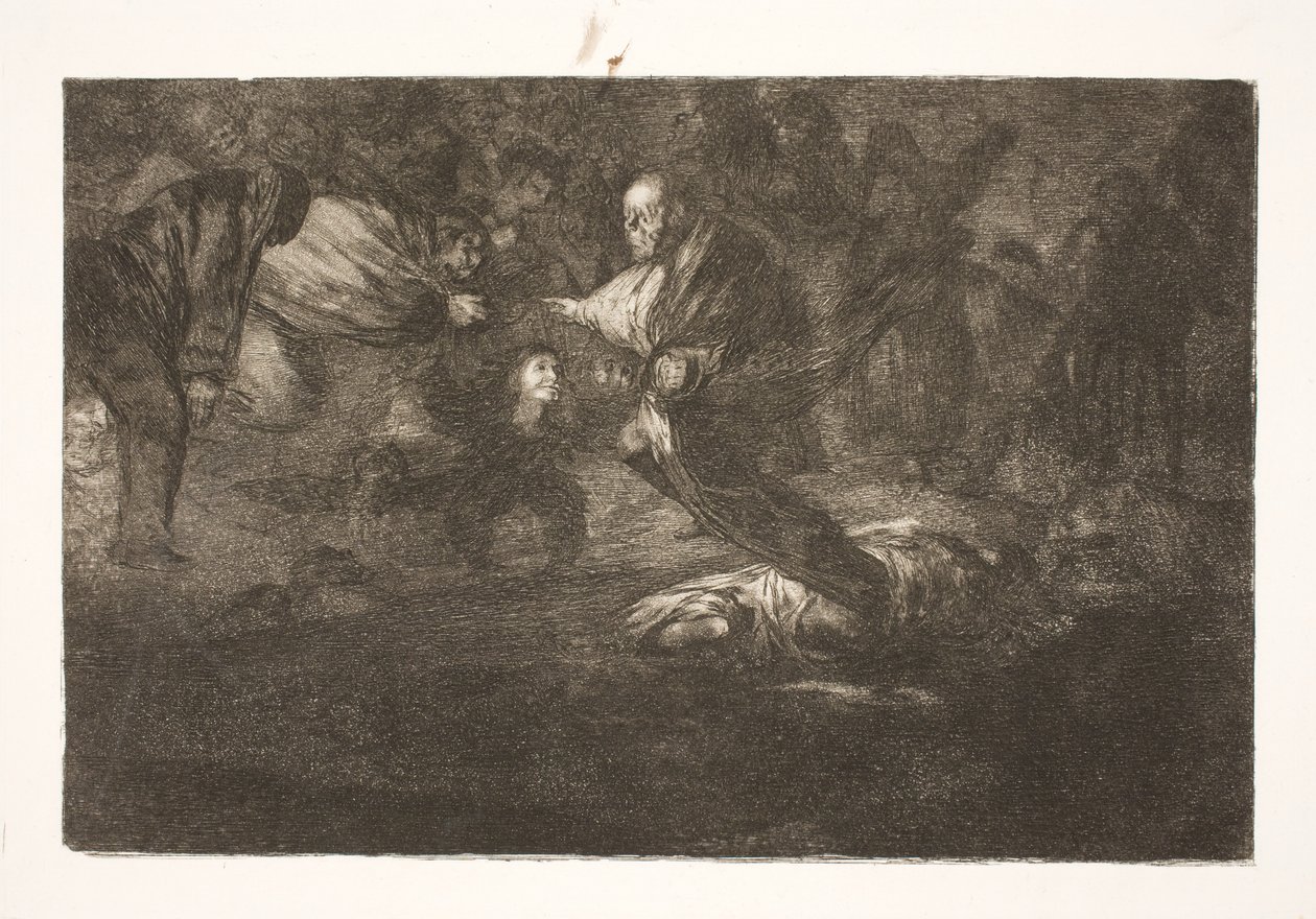 Náš Pán je vytváří a oni skončí v krásném spojení / Ptáci se stejným peřím létají v hejnech od Francisco de Goya