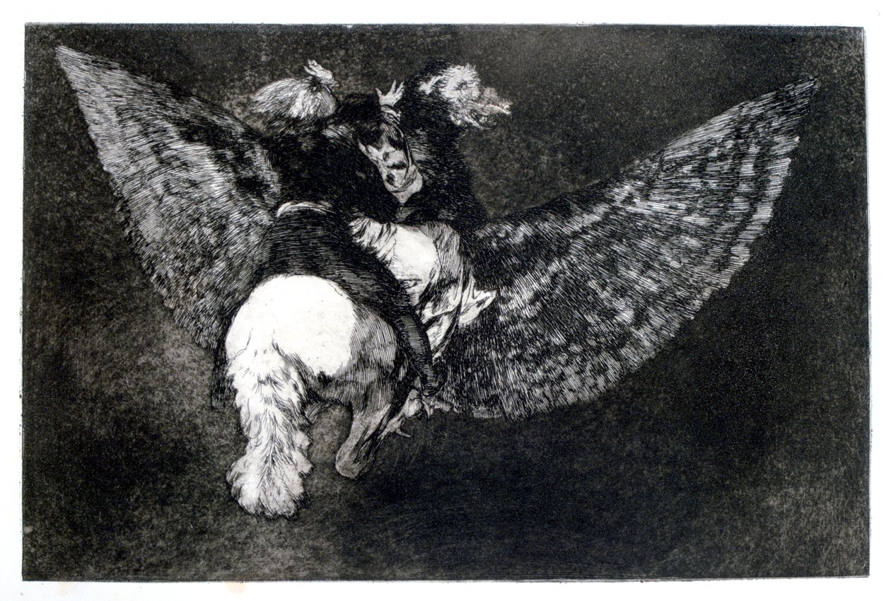 Okřídlený nesmysl, 1819-1823 od Francisco de Goya