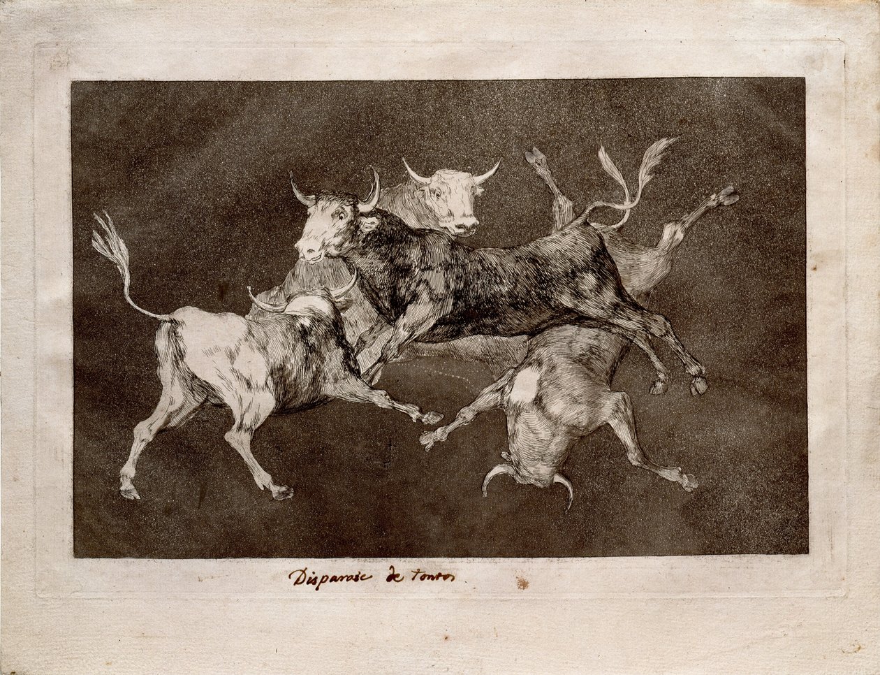 Fool`s Folly od Francisco de Goya