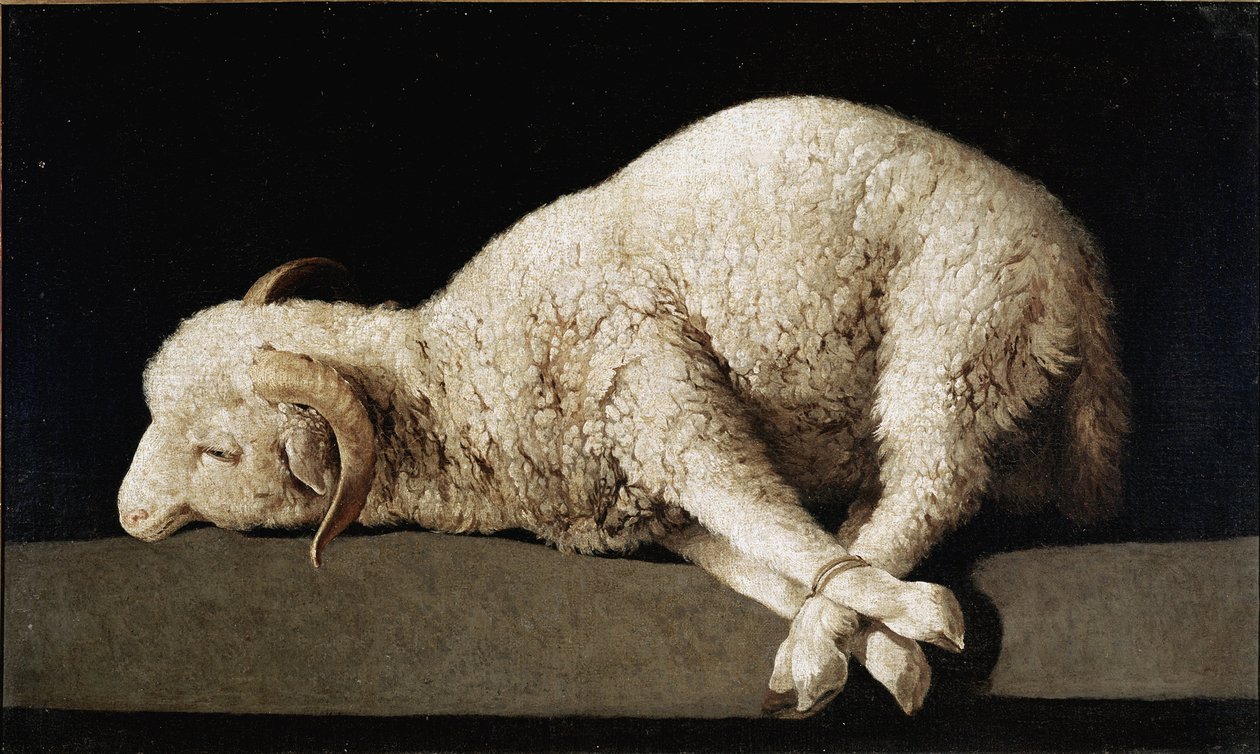 Agnus Dei od Francisco de Zurbaran