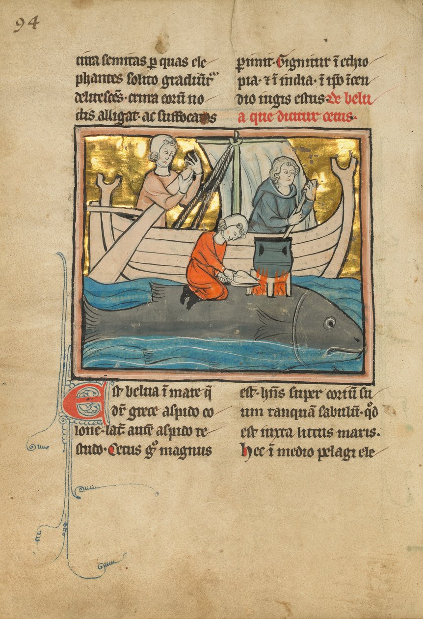 Rybář na hřbetě velryby, 1277 nebo později od Franco Flemish School