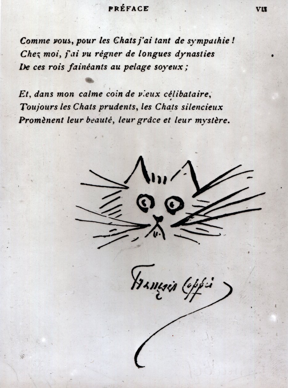 Kočičí hlava, ilustrace k básni Francoise Coppeeho (pero a inkoust na papíře) od Francois Coppee