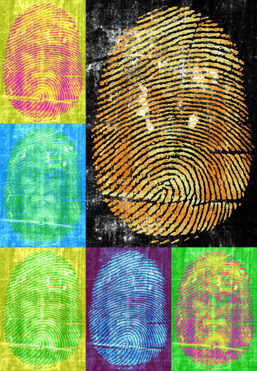 Roots und Thorns, 2014, (digitální) od Francois Domain