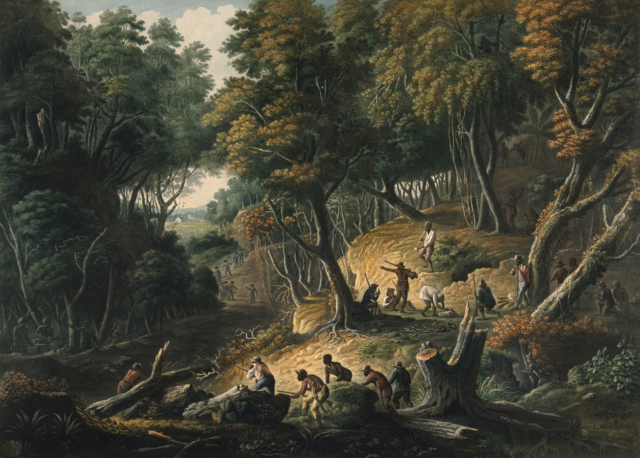 Maroons v záloze na Dromily Estate ve farnosti Trelawney, Jamajka, hospoda. 1801 od Francois Joseph Bourgoin