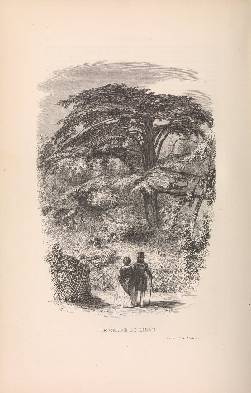 Botanická zahrada, popisy a způsoby savců, 1842. od Francois Boitard
