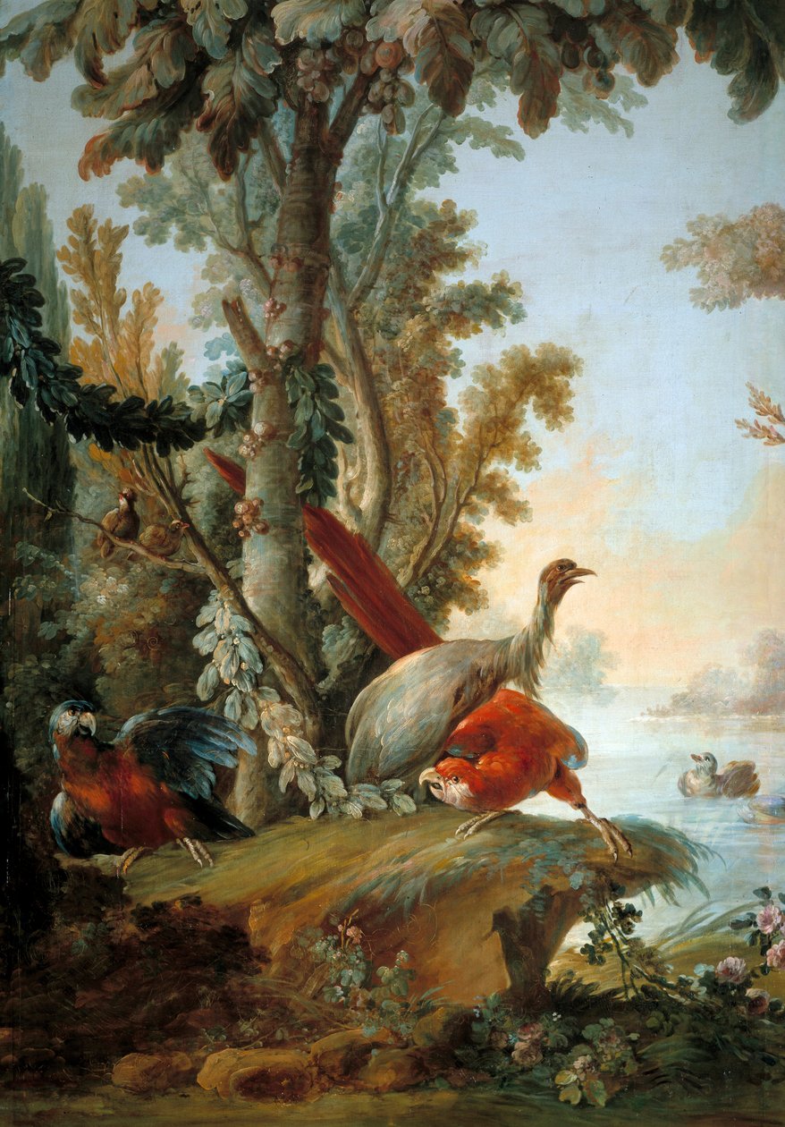 Obraz Volavky a papoušci od Francoise Bouchera (1703-1770) od François Boucher