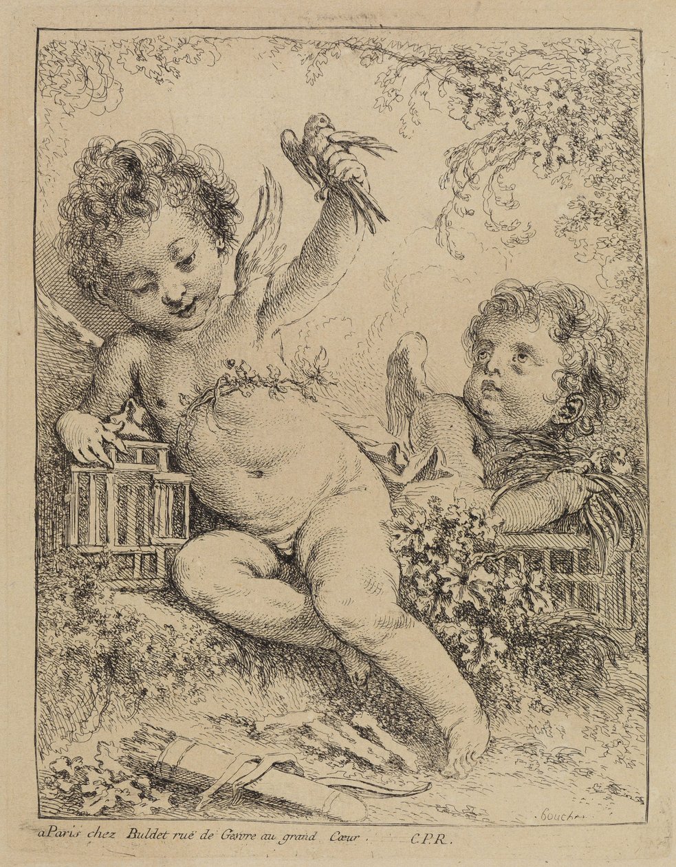 Holubice v kleci od François Boucher