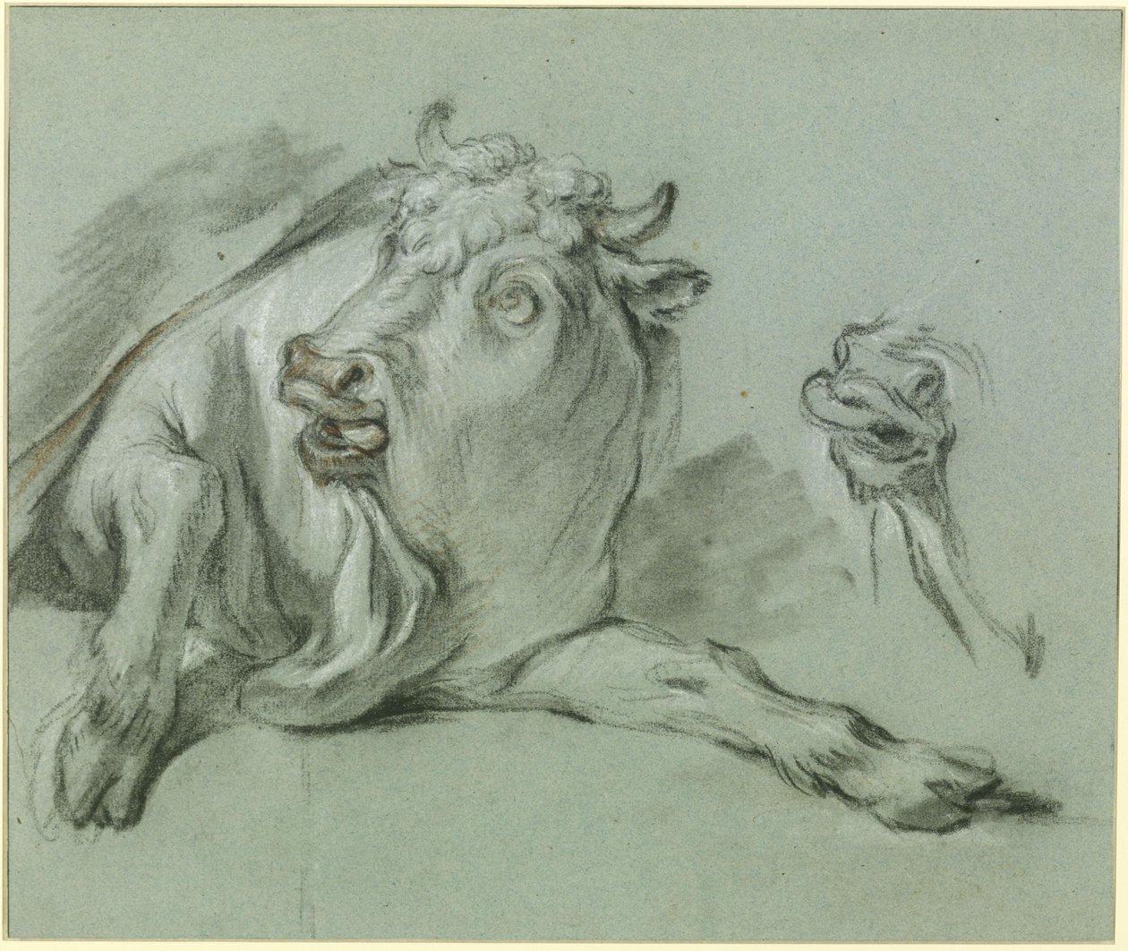 Ležící býk. Studie k obrazu „Únos Evropy“ v Musée du Louvre v Paříži od François Boucher