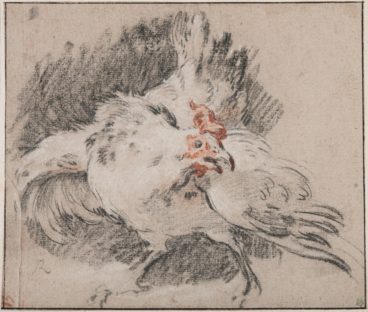 Studie kohouta od François Boucher