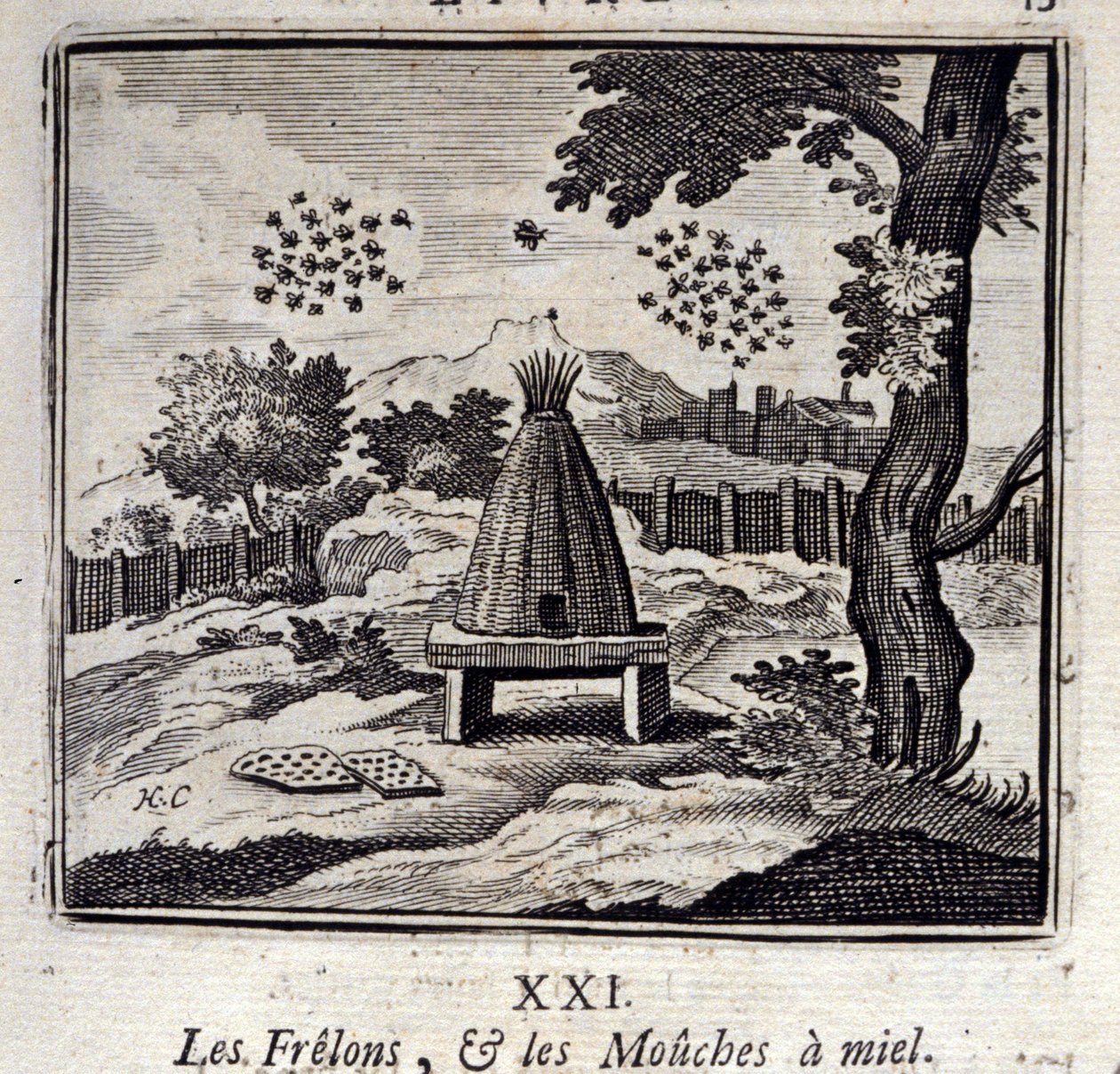 Sršni a medové mušky. Bajky Jean de La Fontaine (1621-95). Ilustrace Francois Chauveau (1613-1676). Vydání z roku 1728. od Francois Chauveau