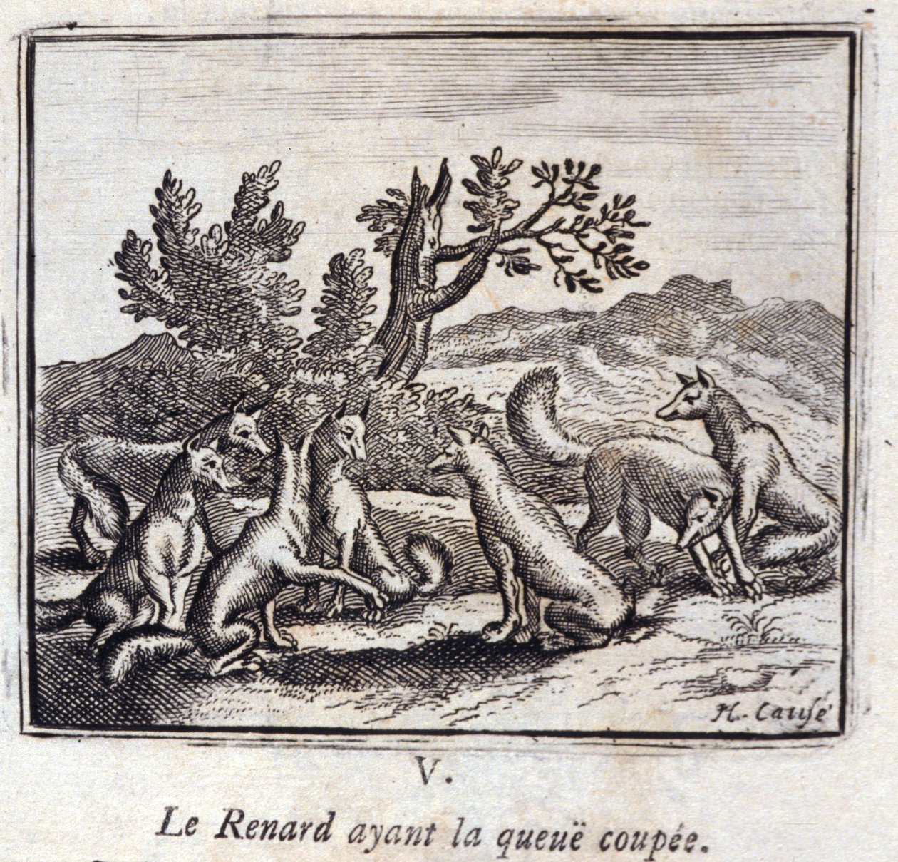 Ilustrace z 