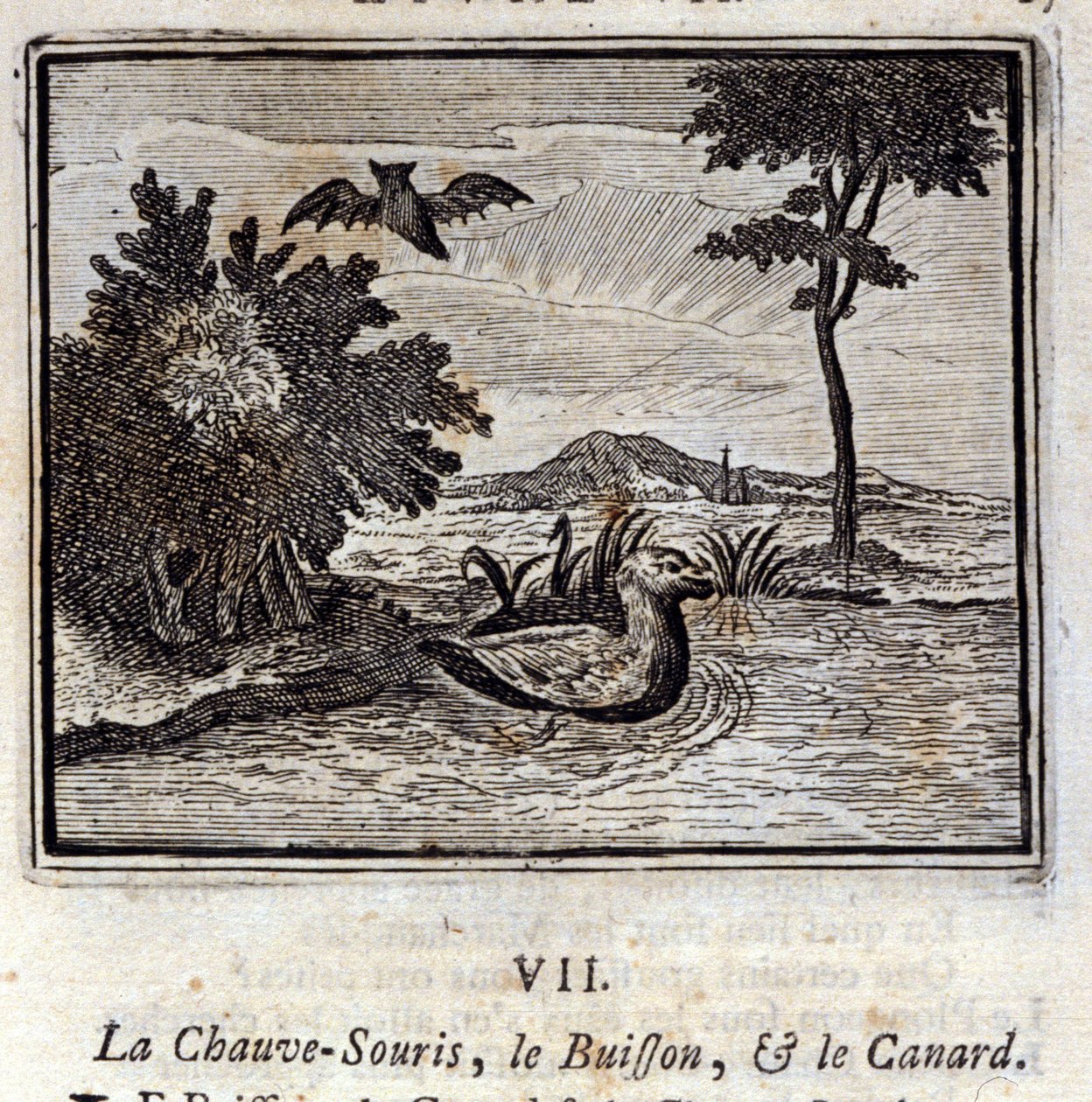 Netopýr, keř a kachna. Bajky Jean de La Fontaine (1621-95). Ilustrace François Chauveau (1613-1676). Vydání z roku 1728. od Francois Chauveau