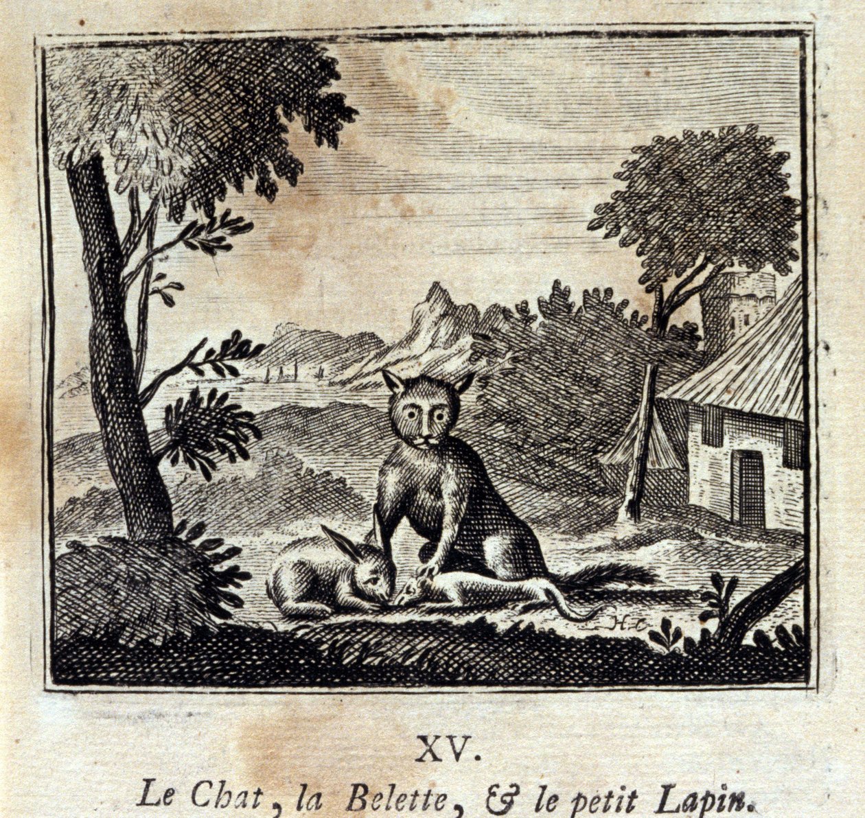 Kočka, lasička a králíček. Bajky Jean de La Fontaine (1621-95). Ilustrace François Chauveau (1613-1676). Vydání z roku 1728. od Francois Chauveau
