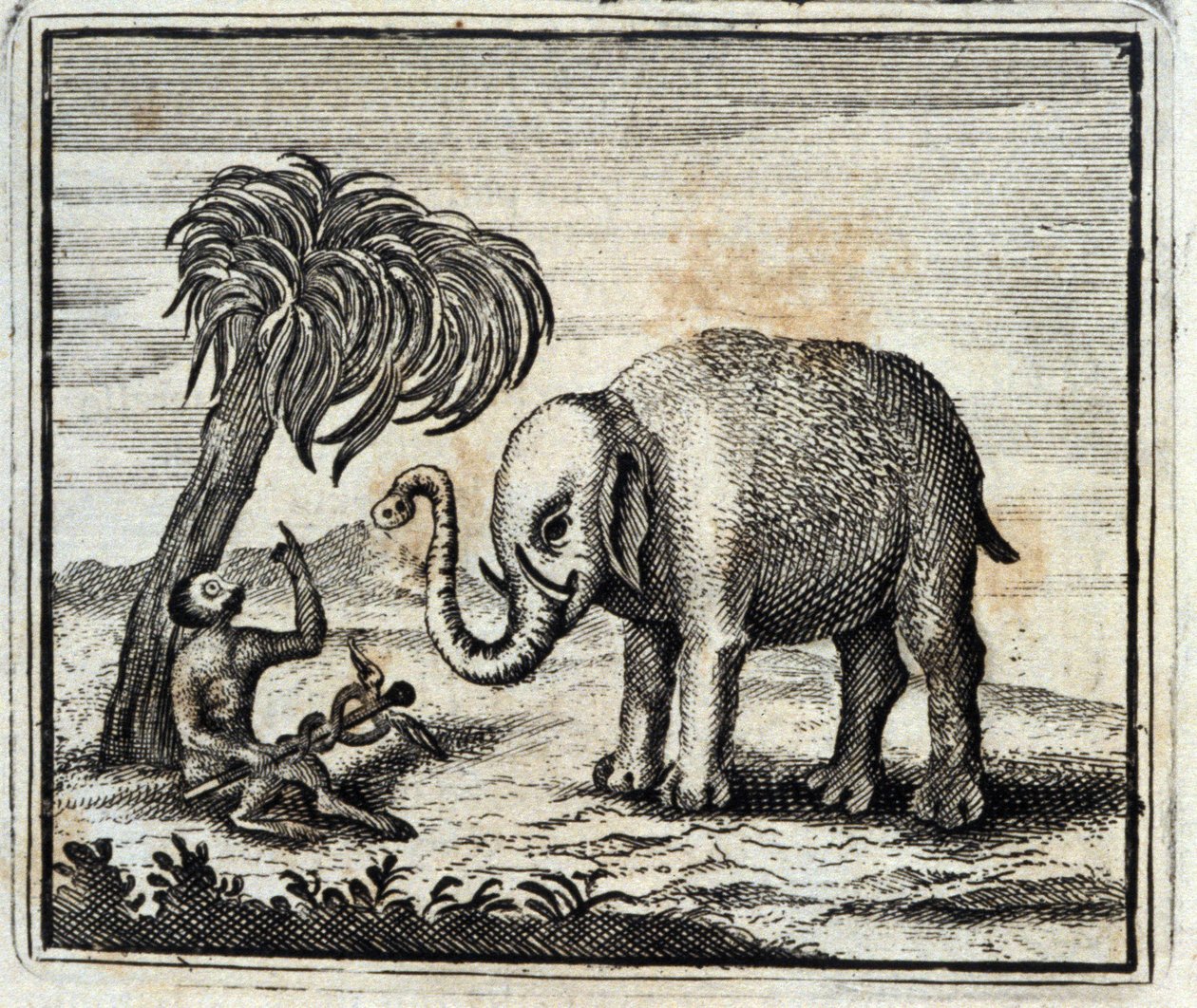 Slon a opice Jupitera. Bajky Jean de La Fontaine (1621-95). Ilustrace François Chauveau (1613-1676). Vydání z roku 1728. od Francois Chauveau
