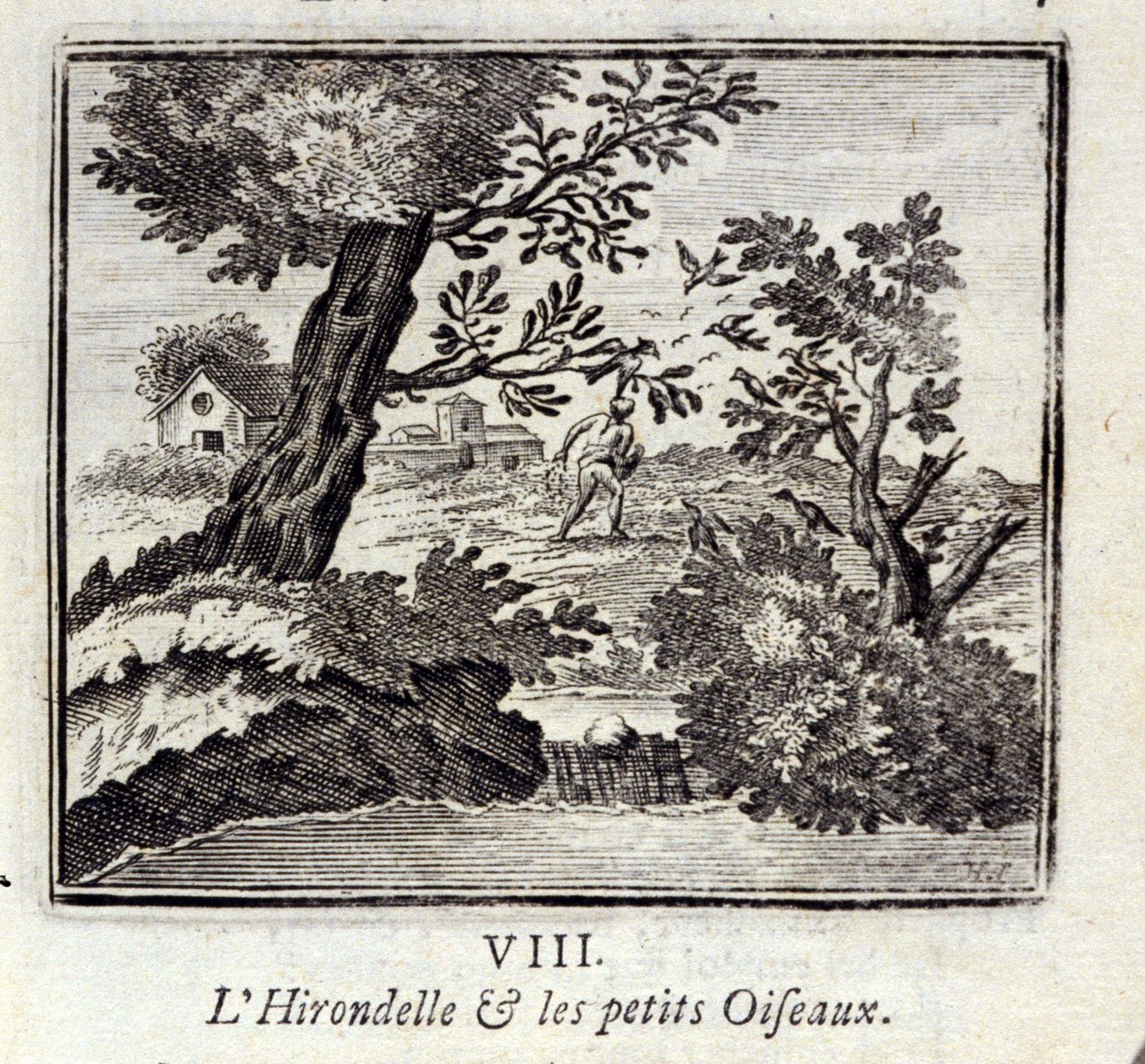 Vlaštovka a ptáčci. Bajky od Jeana de La Fontaine (1621-95). Ilustrace François Chauveau (1613-1676). Vydání z roku 1728. od Francois Chauveau
