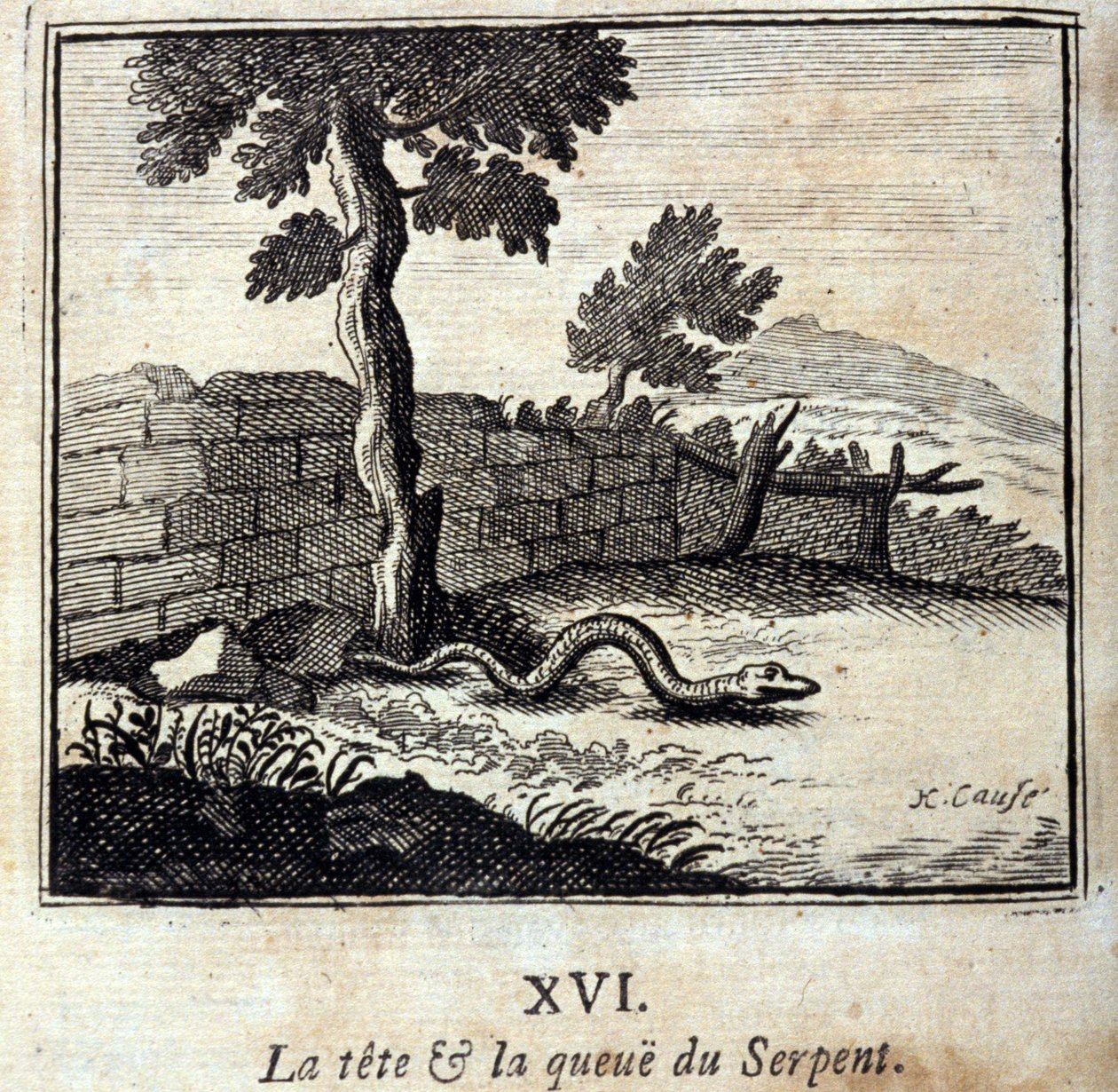 Hlava a ocas hada. Bajky od Jeana de La Fontaine (1621-95). Ilustrace François Chauveau (1613-1676). Vydání z roku 1728. od Francois Chauveau