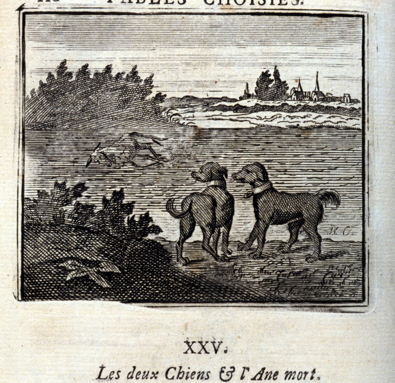 Dva psi a mrtvý osel. Bajky Jean de La Fontaine (1621-95). Ilustrace François Chauveau (1613-1676). Vydání z roku 1728. od Francois Chauveau
