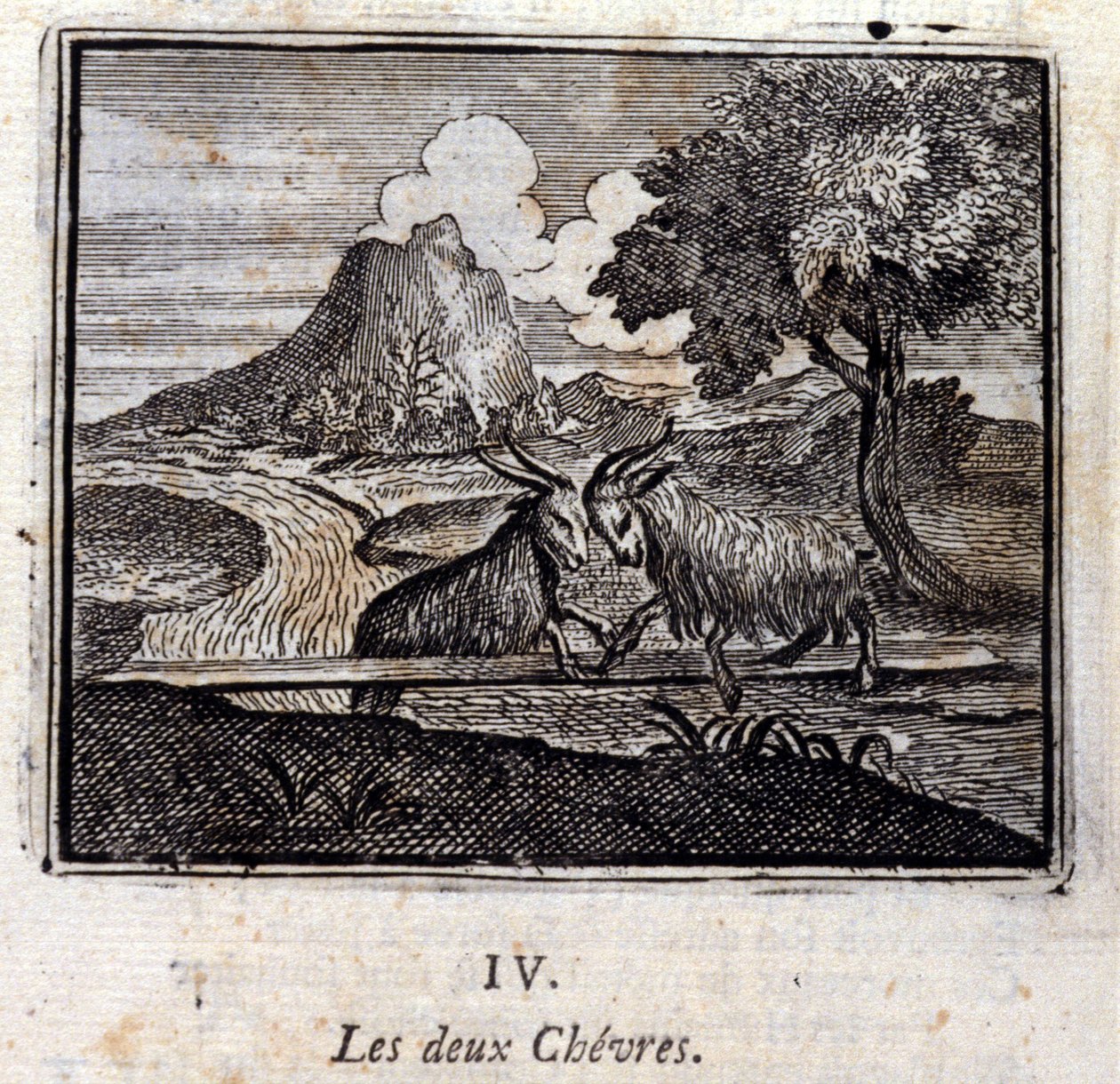 Dvě kozy. Bajky Jean de La Fontaine (1621-95). Ilustrace François Chauveau (1613-1676). Vydání z roku 1728. od Francois Chauveau