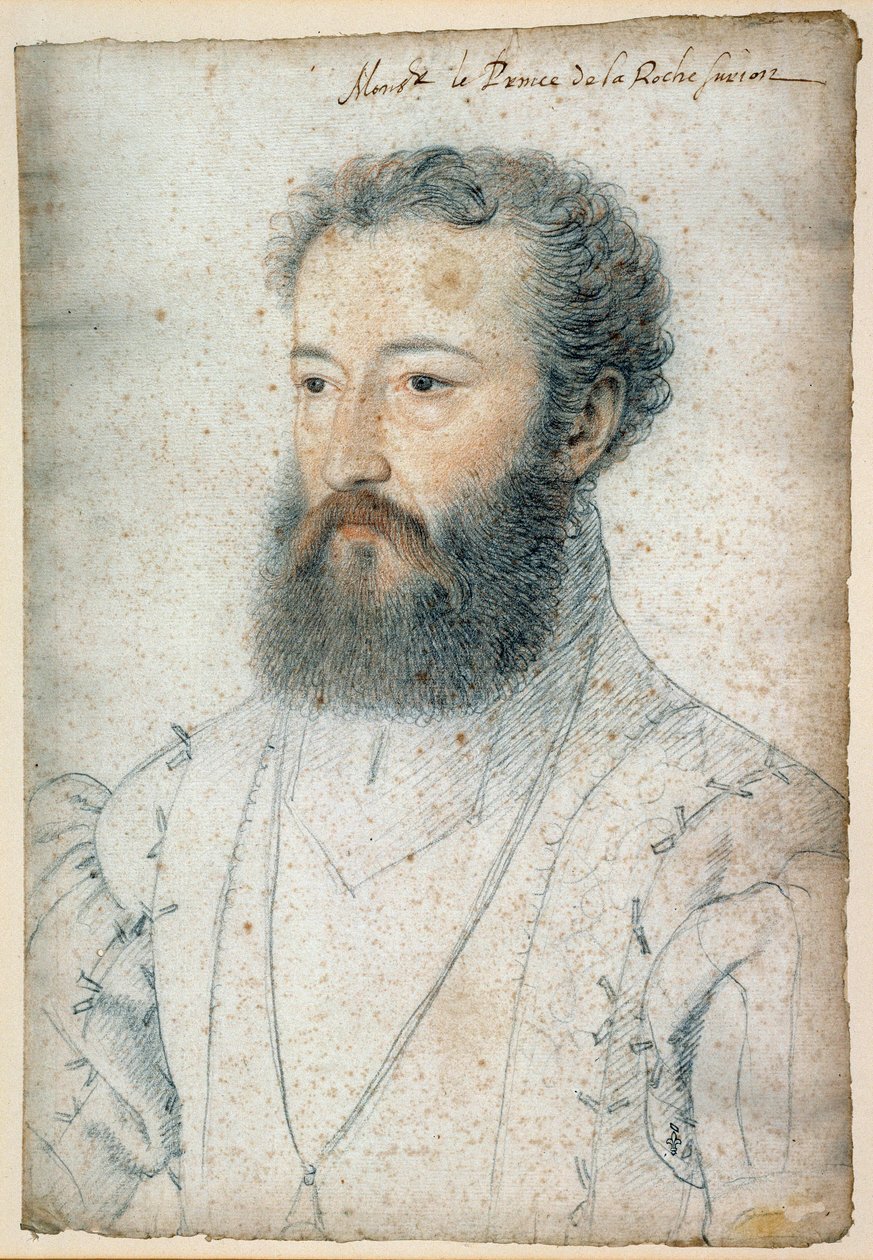 Portrét Charlese de Bourbon, prince z La Roche-sur-Yon (1515-1565). Kreslení krve a černého kamene od Clouet Francois (1515-1572) od François Clouet