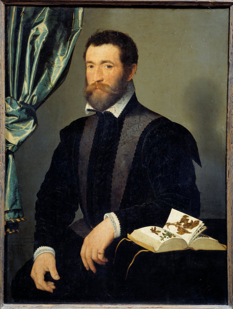 Portrét lékárníka Pierra Qutheho (1519-apres 1588) Obraz Francoise Cloueta (1515-1572) 1562 Ne. 0,91x0,7 m - Portrét lékárníka Pierra Qutheho (1519- cca 1588). Obraz Francoise Cloueta (1515-1572) od François Clouet