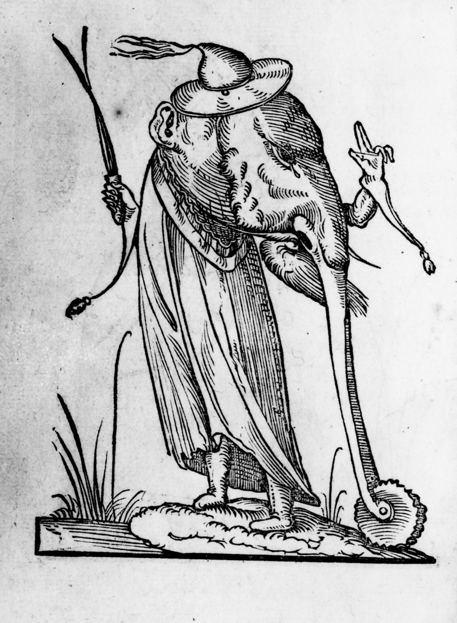 Ilustrace z 