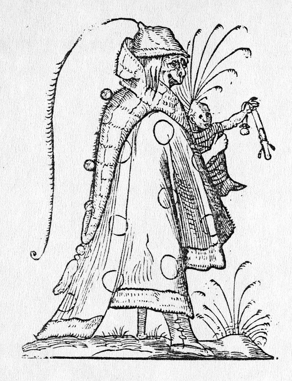 Ilustrace z 