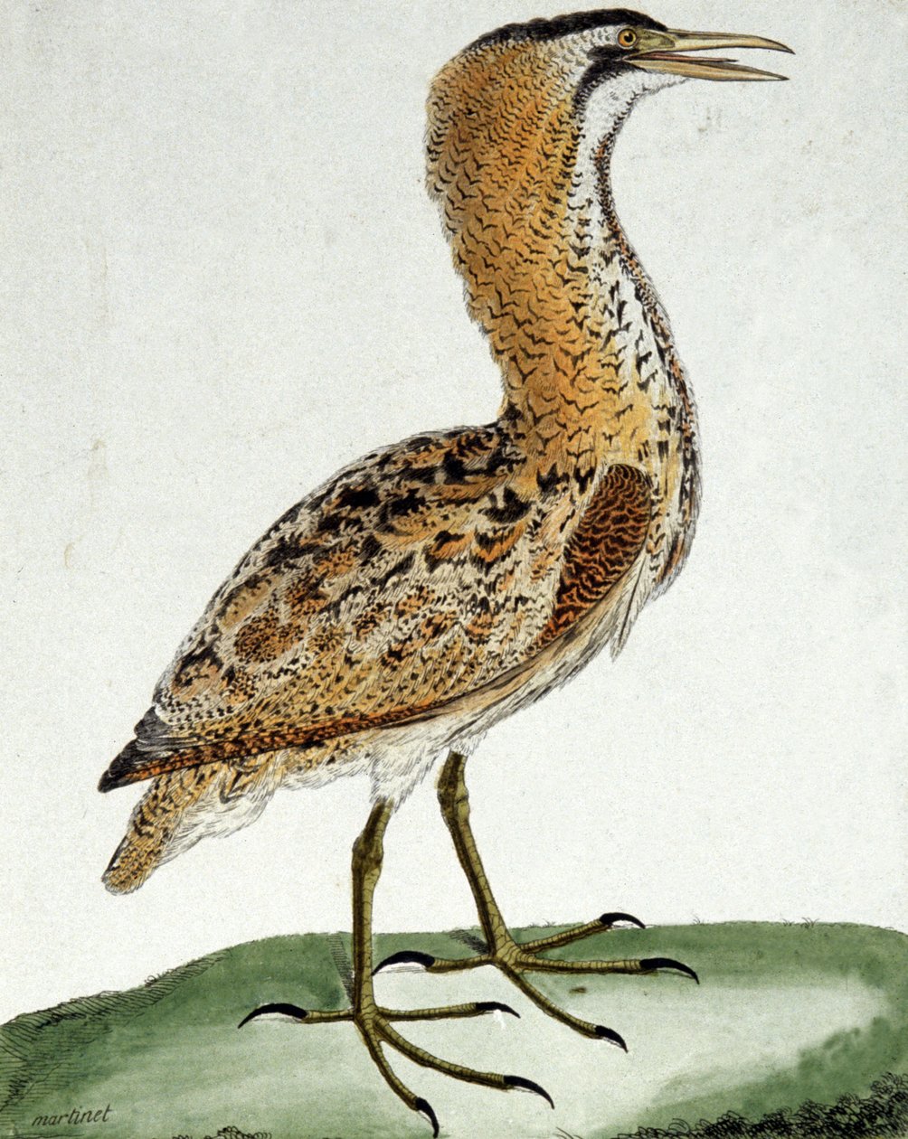 Závěsný od Francois Nicolas Martinet