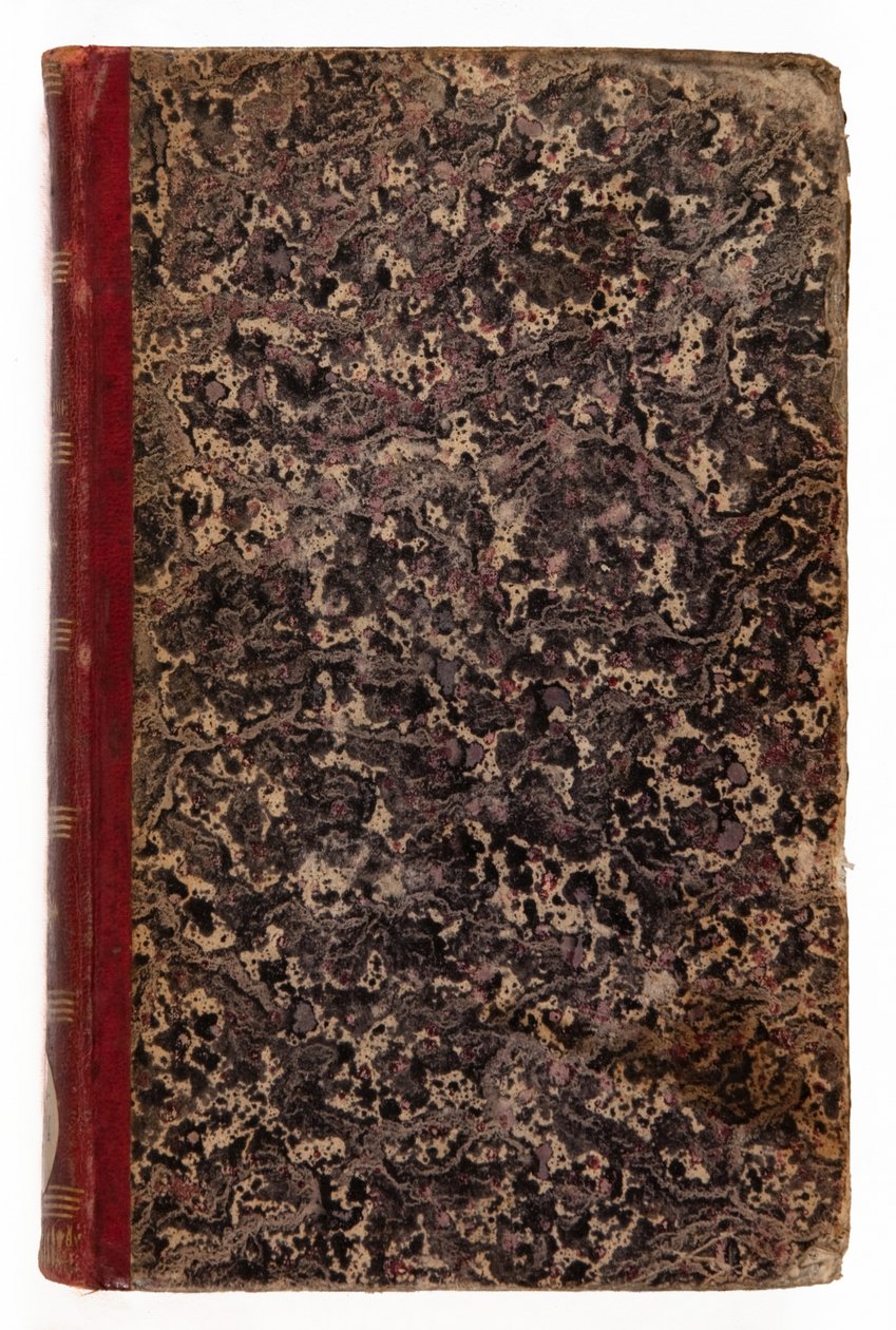 Genie du Christianisme, 1802 (kůže a mramorovaný papír) od Francois Rene Vicomte de Chateaubriand