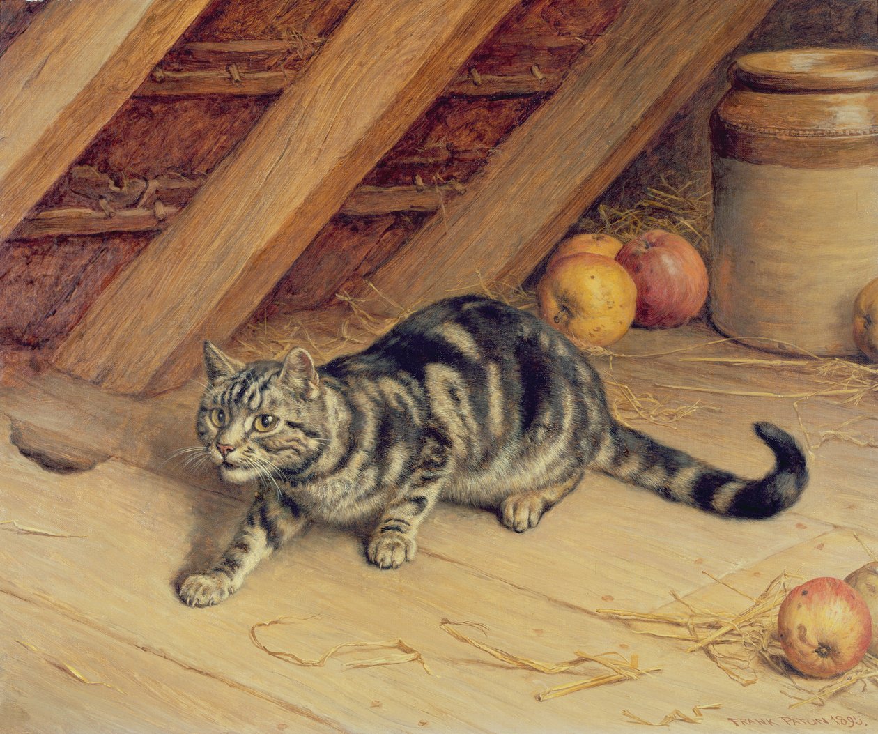 Upozornění od Frank Paton