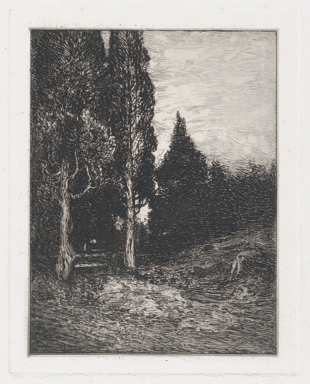 Krajina, ca. 1880-91. od Frank Anderson