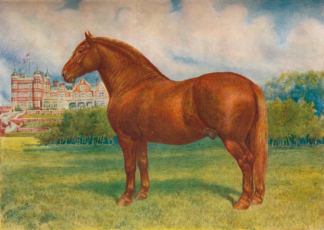 Suffolk otec Prince Wedgwood, c1902 c1910 od Frank Babbage