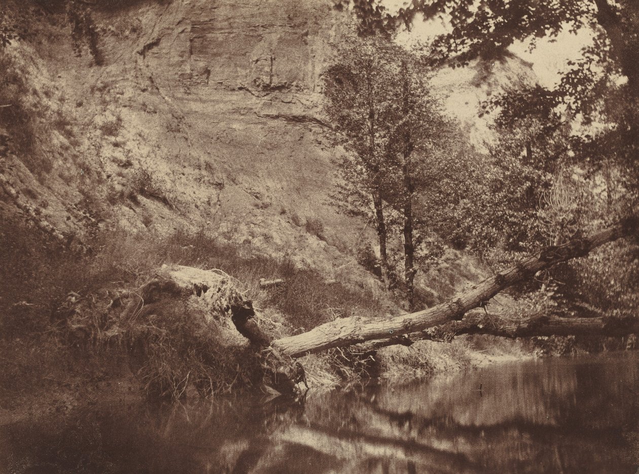 Riverbank,c. 1855 (foto) od Frank Chauvassaigne