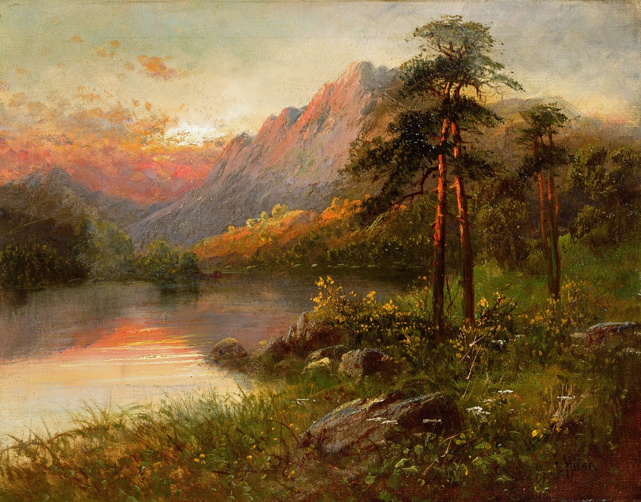 Highland Solitude od Frank Hider