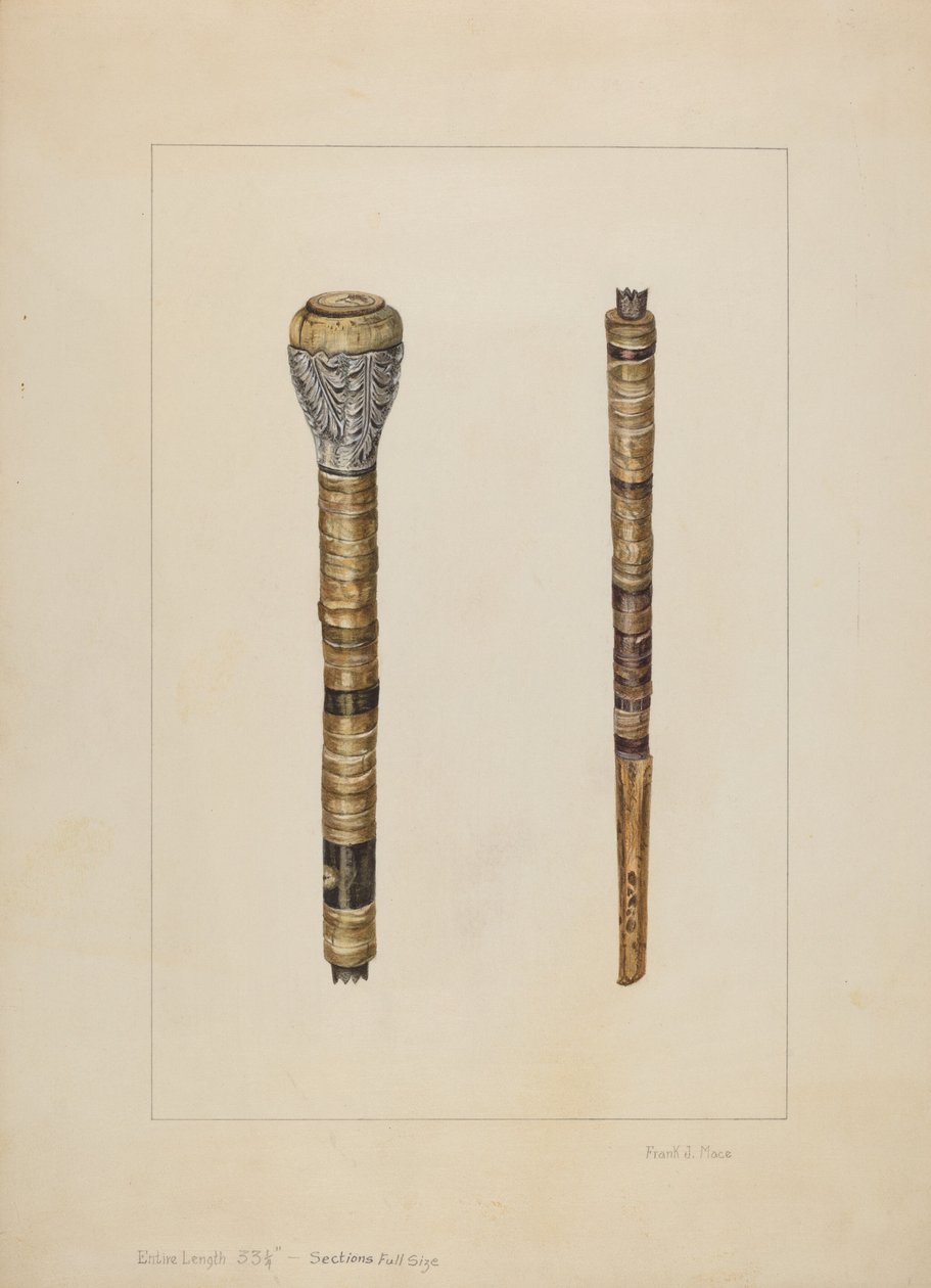 Cowhorn Cane od Frank J. Mace