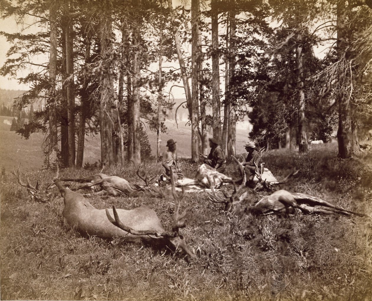 Lovci losů, Yellowstone, cca 1880 (albumenový stříbrný tisk) od Frank Jay Haynes