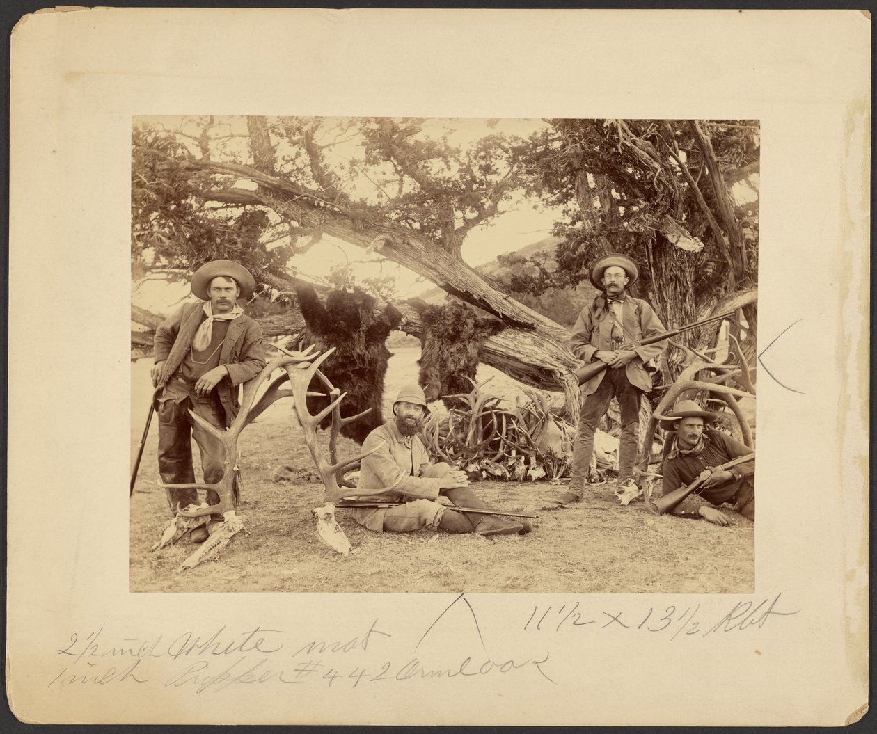 Lispenard Stewart party, #6 - 5th Ave., N.Y. s trofejemi u starého cedru, Mammoth Hot Springs, Yellowstonský národní park od Frank Jay Haynes